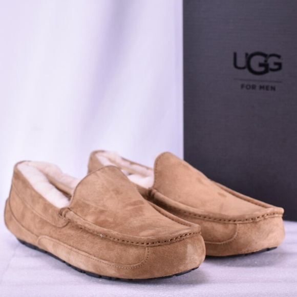 Men's UGG Ascot Chestnut Moccasin Slippers - Picture 1 of 5